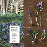 Martha Stewart's Gardening Handbook: Martha Stewart