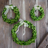 Small 6" Preserved Boxwood Wreath