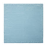 Robin's Egg Linen Napkin (Set of 4)