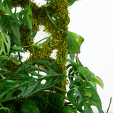 Diamond Moss Trellis