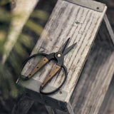 Garden Scissors Small