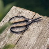 Garden Scissors Small