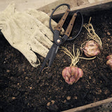 Garden Scissors Large