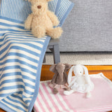 Baby Blues Mini Blanket