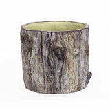 Faux Bois Tree Trunk Planter
