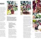 Propagation Handbook by Hilton Carter