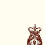 Royal Berne Doodle Long Pad