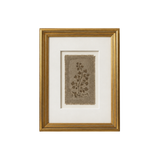 Mary Clay Framed Botanical Studies