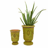 Dimitri Anduze Urn