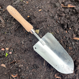 Plant shovel: Green