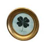 Gardners Luck: by Mary Maguire