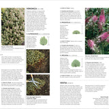 Pruning Training: What, When and How to Prune
