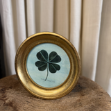 Gardners Luck: by Mary Maguire