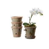 Terra Cotta Orchid Pot with Saucer