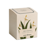 The Exotics Candle