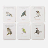 The Backyard Bird Deck