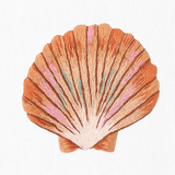Shell Scallop Blush Hand Towel