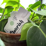 Flourish Organic Plant Food, Single Packet Fertilizer