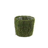 English Moss Planter Basket