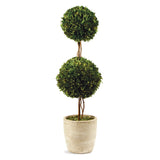 Preserved Boxwood Topiary 28"