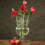 Tulipiere Clear Glass