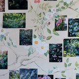 Roses In The Garden