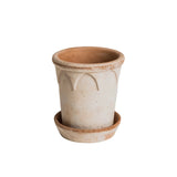Elizabeth Raw Rosa Pot