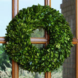 16" Preserved Boxwood Wreath