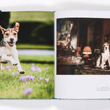 Country Life's Book Of Dogs