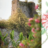 Roses In The Garden