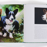 Country Life's Book Of Dogs