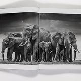 David Yarrow The Collection