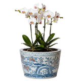 Blue and White Porcelain Planter