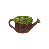Wicker Moss Watering Can Planter