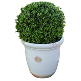 Kew Scarlett XL Planter Old White
