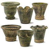 Assorted Herb Pot Dark Moss