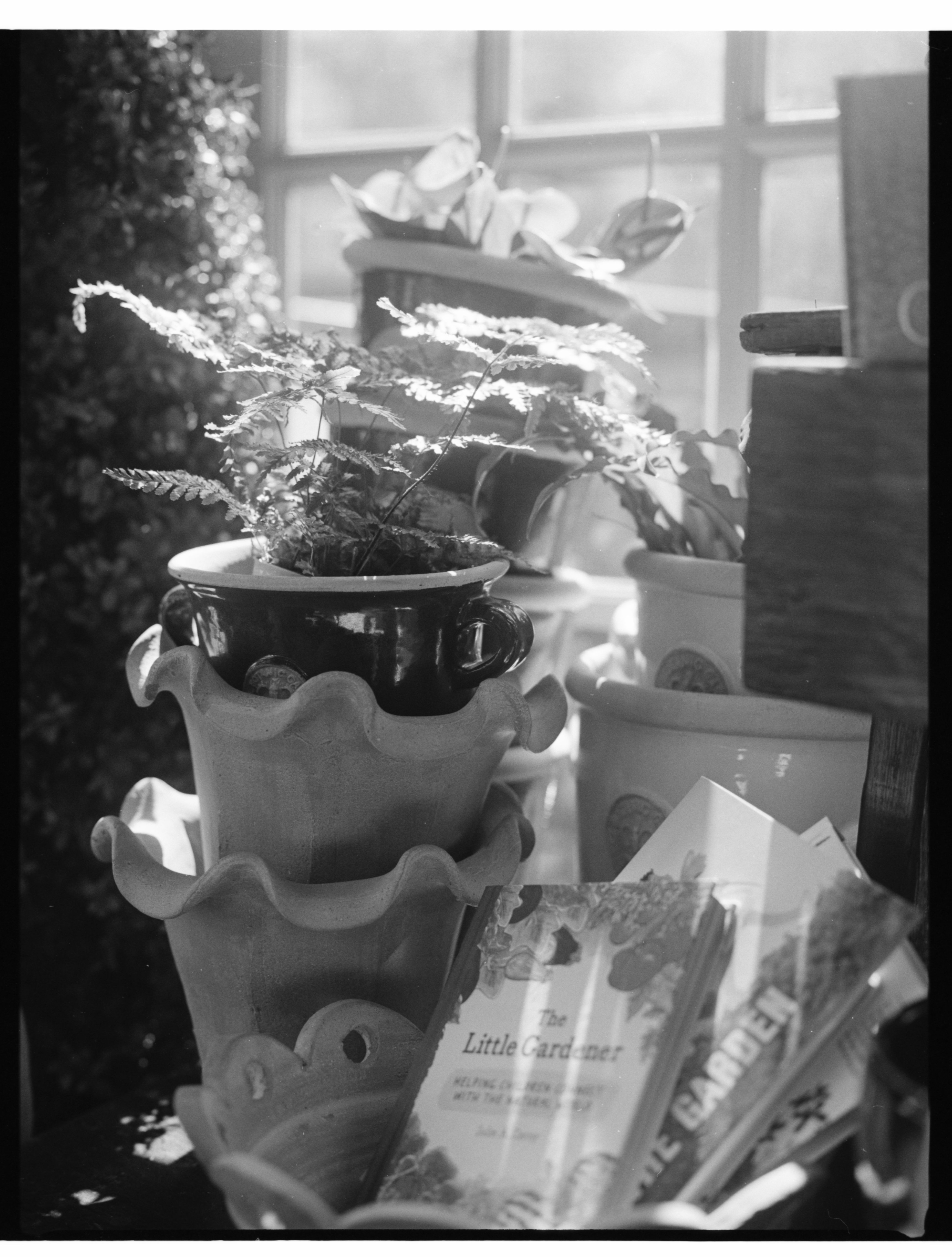 GARDEN STORIES
