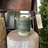 Assorted Herb Pot Dark Moss