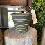 Assorted Herb Pot Dark Moss