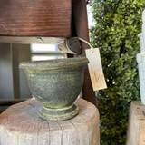 Assorted Herb Pot Dark Moss