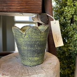 Assorted Herb Pot Dark Moss