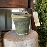 Assorted Herb Pot Dark Moss
