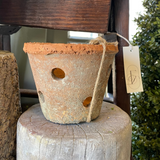Rustic Terra Cotta Orchid Pot with Saucer