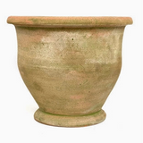 Botanical Collections Potier Verde Natural
