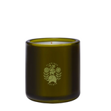 Flamingo Estate Jasmine Damask Rose