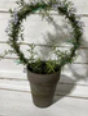 Rosemary Ring