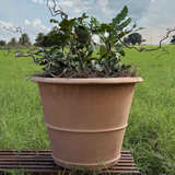 Caterina Planter Large Italian Classic Terra Cotta