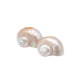 Seashell Napkin Ring