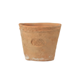 Aged Terracotta Flower Pot