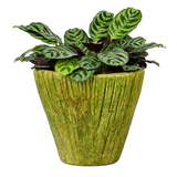 Aged Terra Cotta Mortero Planter